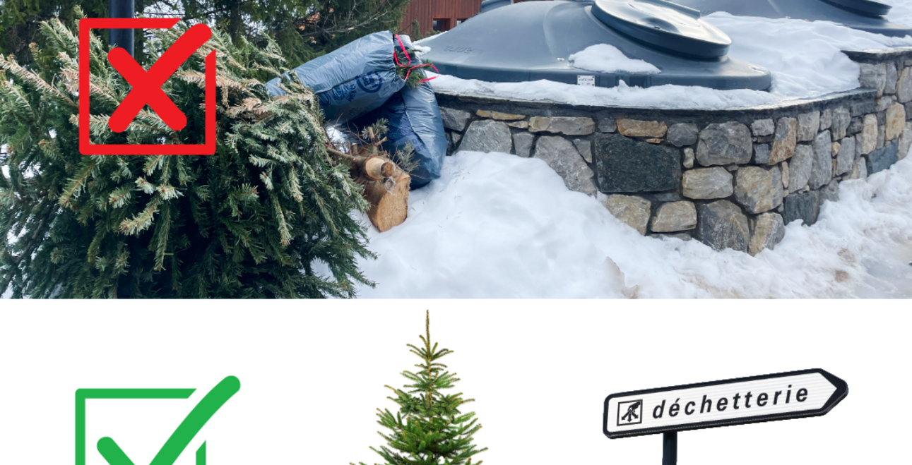 Où déposer son sapin de Noël